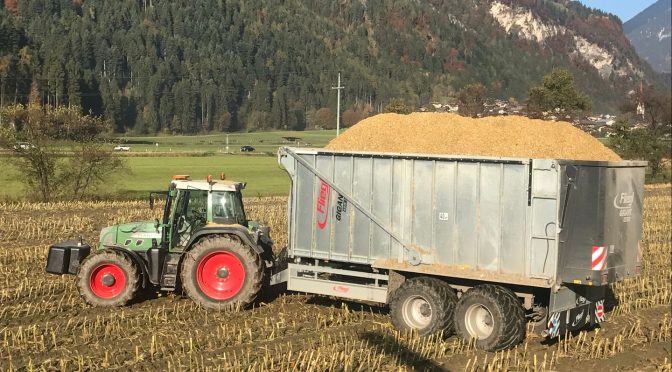 Ernte Service Thaler Lohnbetrieb